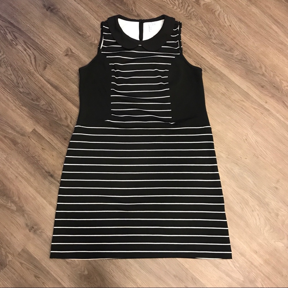 A-Line Peter Pan Collar Dress - Picture 3 of 4